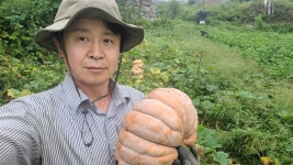 국산 귀리 동충하초 늙은호박 티백차 25입 무카페인 블렌딩티 : 유니드백세