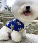 워크버디 강아지 데이지 가디건 꽃 니트 스웨터 중형견 블루 XS : 워크버디