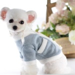 디자인 작은 개 애완 동물 옷 귀여운 고양이 강아지 드레스 자켓 코트 겨울 포메라니안 Yorkies 버튼 옷 개 겨울 작업복 : 모아모아95