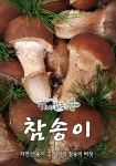 청도송이 항암버섯 참송이버섯 선물세트 고급 무농약버섯 주문 500g : 어메이징쇼핑