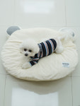 [레드퍼피] 몰랑몰랑 곰돌이쿠션 : REDPUPPY