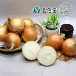 [함양군]함양농협 함양군 농특산물 품질인증 1호 지리산 햇함양양파 10kg : 맘스킹