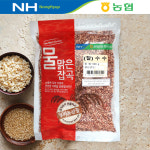 [농협] 국내산 찰수수 500g 24년산 햇곡 수수쌀 수수부꾸미 수수경단 물맑은 잡곡 : 자연선생