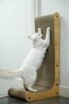 루어캣 고양이 수직 스크래쳐 빅L : 건방진냥이