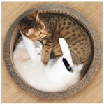 실용적인 가리가리 빅서클 베이지색 : I뚜기뚜기I