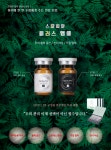 셀비아 스칼피아 플러스 두피 탈모 케어 앰플 : 셀비아뷰티