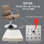 토탈헤어 DH-120 미용의자 / 미용실의자 기자재 기구 커트 : 토탈헤어