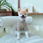 샵미니스 강아지옷 댕블리 스트라이프 티셔츠 : 샵미니스