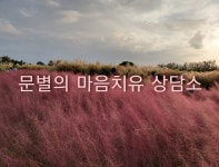 카톡타로 10분상담권 문별타로 상대방속마음 마음치유 힐링타로 심야타로 24시타로 : 문별타로아카데미