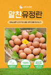 동물복지 무항생제 알찬유정란 20구,30구,40구 달걀 파손보장 : 알찬유정란