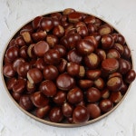 공주밤 정안밤 공주옥광 햇밤 옥광밤 2kg 4kg : 푸드아띠