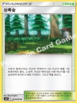 상록숲 SM9 - 091 - 포켓몬카드게임 : TCG월드