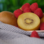 제스프리 루비 레드키위 골드키위 그린키위 소과 중과 대과 : 참좋은 제주몰