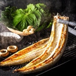남부수산 손질 민물장어1kg(1~3미내외) : 피쉬세일