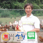 [ 참샘골 ] 블루베리먹은 유정란 자연방사 난각번호 1번 달걀 방목 계란 무항생제 20구 : 참샘골 자연방사유정란