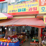 [이천시 배달] 푸릇한 브로콜리 1통 [관고 소문난야채과일] : 동네시장 장보기
