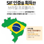유아프로폴리스 뿌리는 목청 약국 프로폴리스 브라질 초록 그린 프로폴리스 액체 칙칙이 원액 : 제이에이치샵앤몰