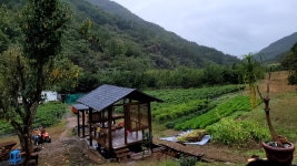 고춧가루 : 너구마을농장