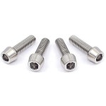 EGWORKS 스템용 티타늄 볼트 M5x18mm 와셔 없음 4개 : ISERYU