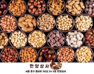 중국산 볶음땅콩 3.75kg 볶은땅콩 알큰사이즈 햇땅콩 2024년산 : 한양상사몰