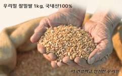 우리밀 찰통밀쌀(찰밀쌀) 1kg, 10개 : 빛울타리