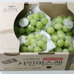 내츄럴 샤인머스켓 성장촉진제 사용하지않은 샤인머스캣 2kg : 워커하이브