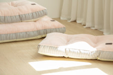 도그캐츠 보드레방석 강아지 극세사 마약 방석 소형견 중형견 대형견 : 펫언니네