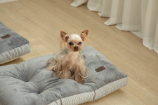 도그캐츠 보드레방석 강아지 극세사 마약 방석 소형견 중형견 대형견 : 펫언니네