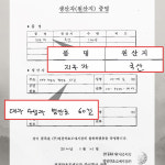 지구자 건지구자 헛개 헛개열매 500g 말린 건재 한방재료 : 스마트초이스M