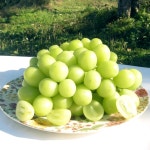 내츄럴 샤인머스켓 성장촉진제 사용하지않은 샤인머스캣 2kg : 워커하이브