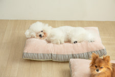 도그캐츠 보드레방석 강아지 극세사 마약 방석 소형견 중형견 대형견 : 펫언니네