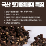 지구자 건지구자 헛개 헛개열매 500g 말린 건재 한방재료 : 스마트초이스M