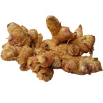 완주 봉동 토종 생강 1 kg (흙/세척) 2025 가을 수확 상품 : 생강마트