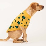 퍼피갤러리 플로라 강아지니트 2컬러 M-3XL 애견니트 : 펫밀리마트