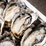 통영 생굴 500g 굴 석화 하프셀 제철 통영굴 제철 캠핑음식 : 대한민국농수산