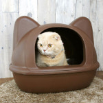 아이캣 고양이모양 고양이 화장실 후드형 매트브라운 : 바보집사