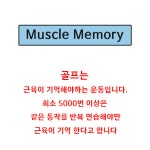 골프 잘치는법 개인 연습장 만들기 집에서 연습 입문 타석 연습용 매트 인조 잔디 기구 : 우리쇼핑하자