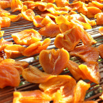 지리산 산청 감말랭이 500g 고종시 2025 햇 감말랭이 말린감 곶감 산지직송 쫀득한 재구매율 높은 겨울 간식 : 지리산 감꽃향기