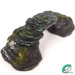 미미네가든 고운물 거북이 놀이터 - (거북이장식품 거북이은신처) : 미미네가든