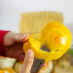 구례 산아래농원 지리산 부유 단감 5kg 10kg 달콤 아삭 2021 햇단감 산지직송 : 좋.은.사.람.들