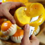 구례 산아래농원 지리산 부유 단감 5kg 10kg 달콤 아삭 2021 햇단감 산지직송 : 좋.은.사.람.들