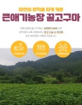 큰애기농장 꿀고구마 10kg : 큰애기농장