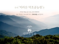 (40구)100% 유기농 자연방사 무항생제 유정란 초란 난각번호 1번 [지리산약초골농원] : 유기농방목마켓