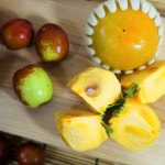 구례 산아래농원 지리산 부유 단감 5kg 10kg 달콤 아삭 2021 햇단감 산지직송 : 좋.은.사.람.들