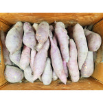 예당농원 고구마 10kg : 햇사레복숭아 예당농원