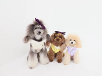 레이스부케후드 : 핑크멍