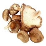 버섯1번지 장흥 무농약 못난이 표고버섯 1kg 실속형 : 버섯1번지