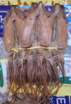 마른오징어 1.5kg 20마리 1축 당일바리 국내산 : 더 조은 대호건어물종합식품