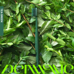 덴띠끄 티 그린 칫솔 (Hard) : 덴탈케어 덴띠끄