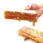 꿀송이팜 국내산100%벌집채꿀 양봉장직영 효도 선물용 사양벌꿀 2.5kg : 꿀송이팜